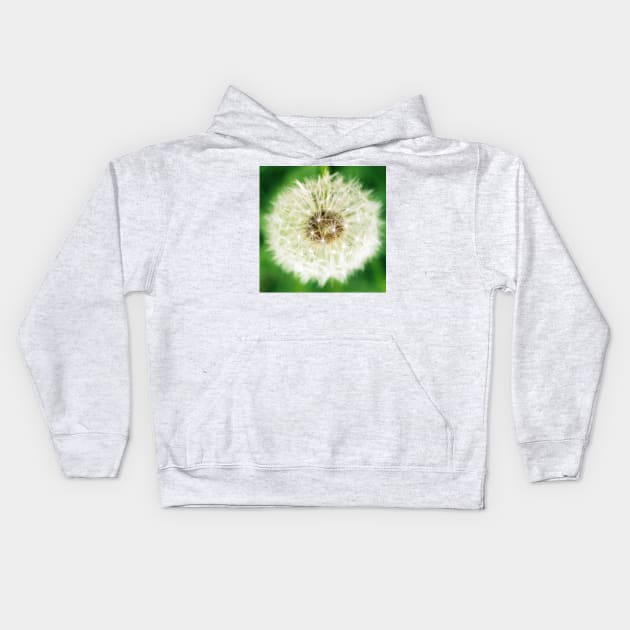 Dandelion Sparkle Kids Hoodie by RFMDesigns